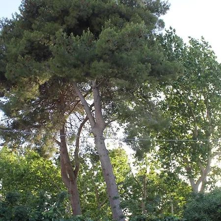 Casina Elio Nardo